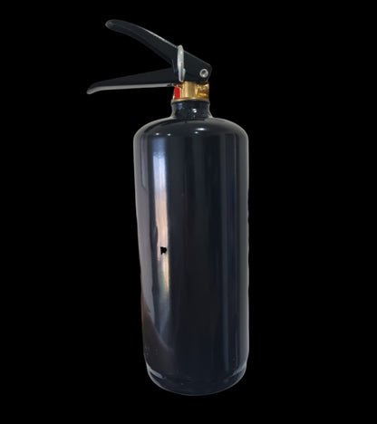 15% OFF BUNDLE - 2 x Gender Reveal Fire Extinguishers image 1