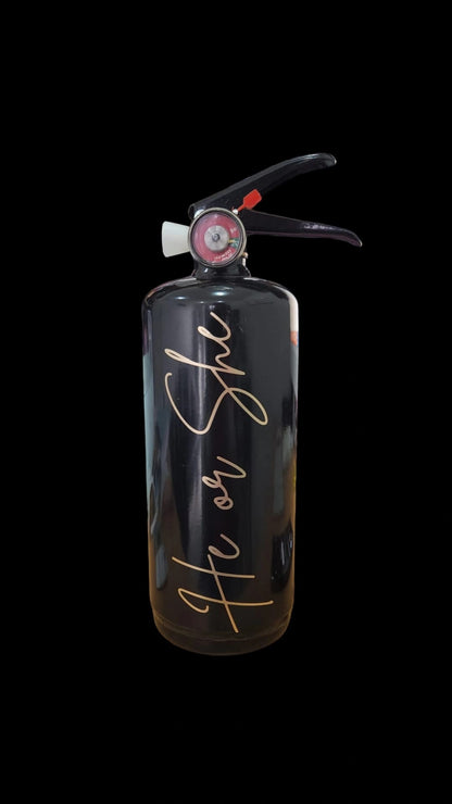 30% OFF BUNDLE - 4 x Gender Reveal Fire Extinguishers image