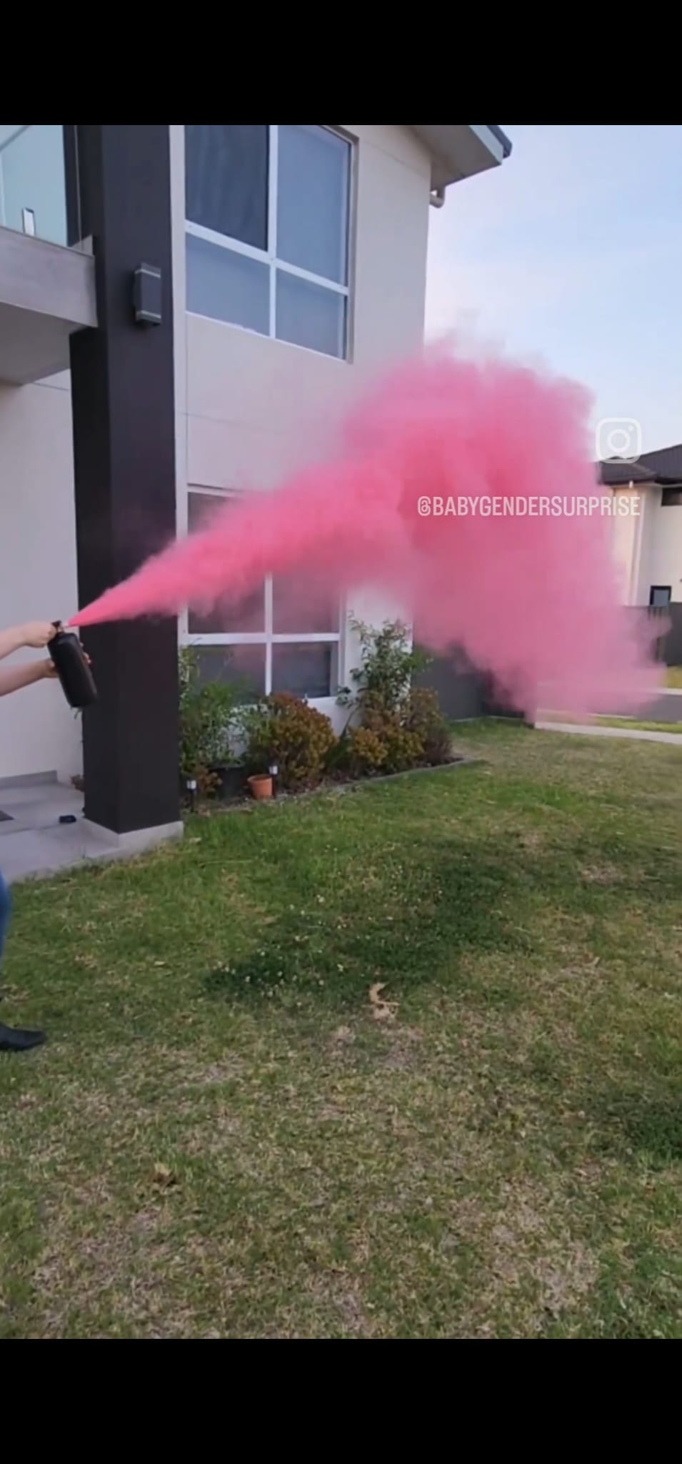 Gender Reveal Fire Extinguisher 1.2kg image 2