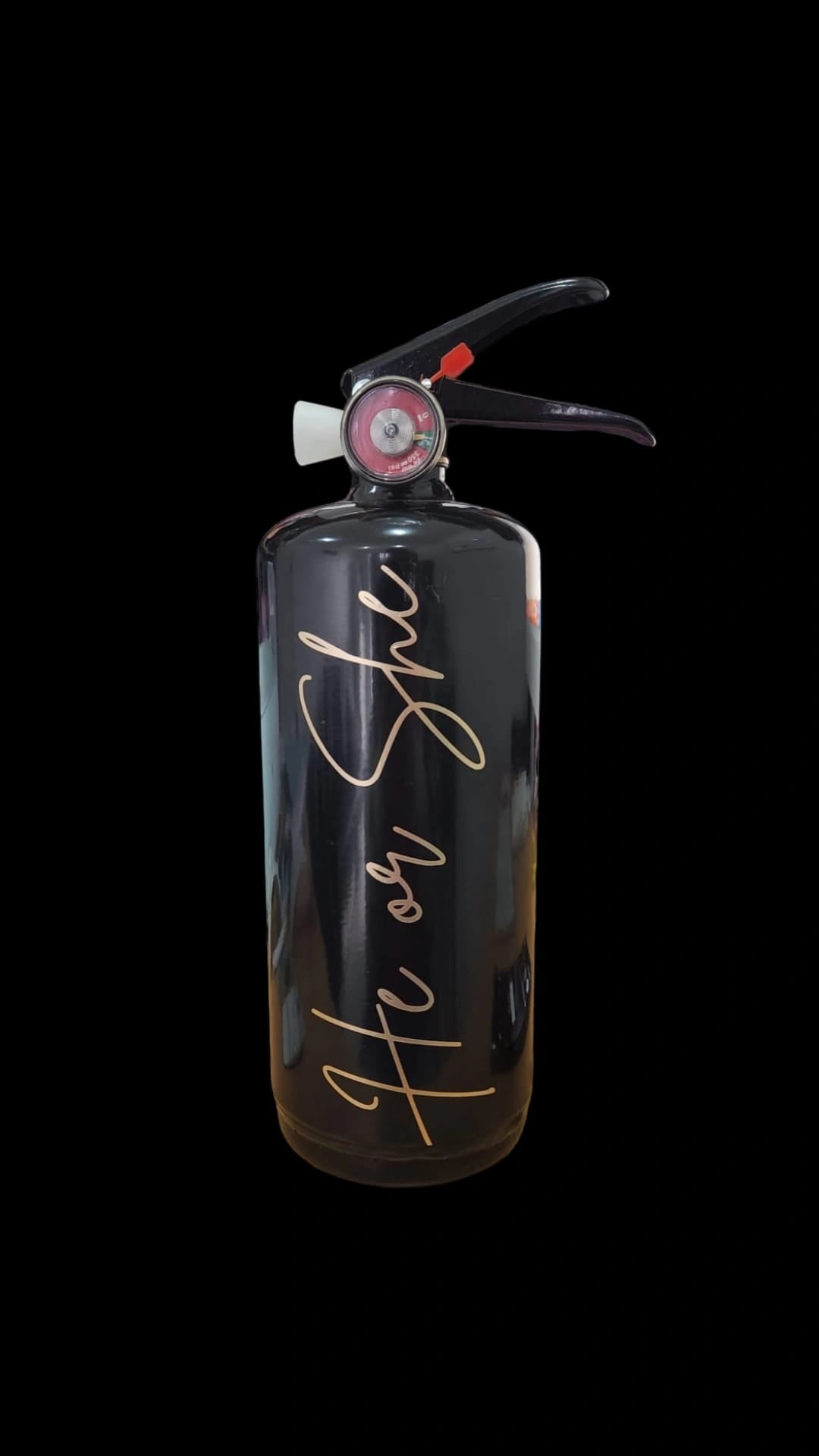 Gender Reveal Fire Extinguisher 1.2kg image 0