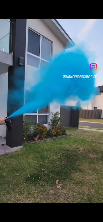 Gender Reveal Fire Extinguisher 1.2kg image 3